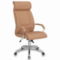 Ayena Müdür Koltuğu ISTANBUL-TCB